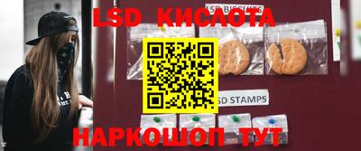 Альфа ПВП Ставрополь