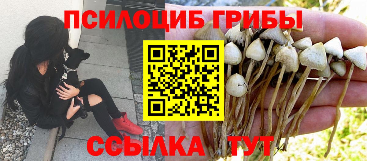 Новый Уренгой  как найти наркотики  Вход с VPN  Псилоцибиновые грибы ЛСД 