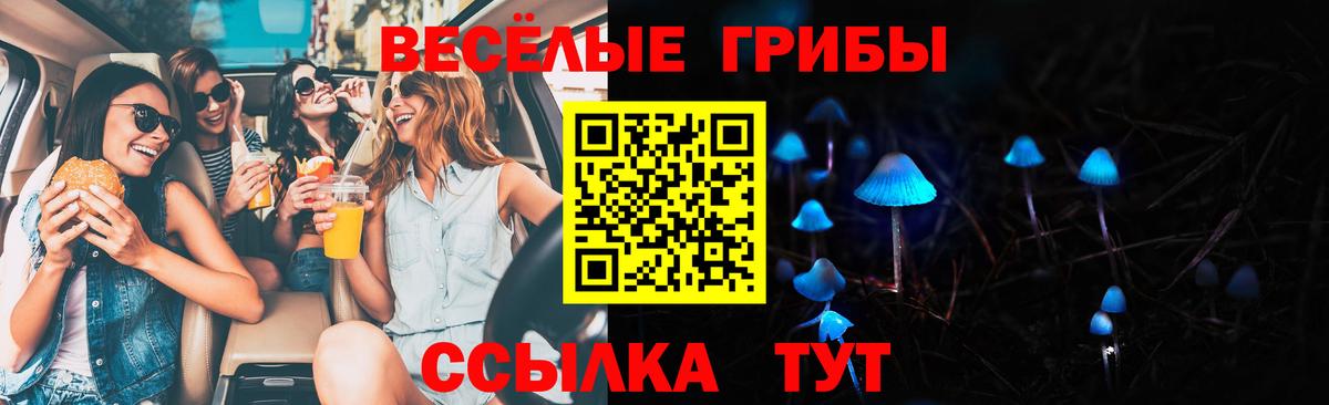 Галлюциногенные грибы Psilocybe Новый Уренгой